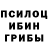Псилоцибиновые грибы Magic Shrooms Arthur Torosyan