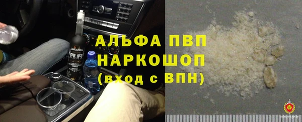 ПСИЛОЦИБИНОВЫЕ ГРИБЫ Бородино