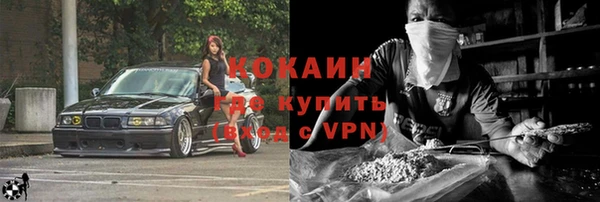 ПСИЛОЦИБИНОВЫЕ ГРИБЫ Бородино