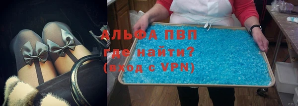 ПСИЛОЦИБИНОВЫЕ ГРИБЫ Бородино