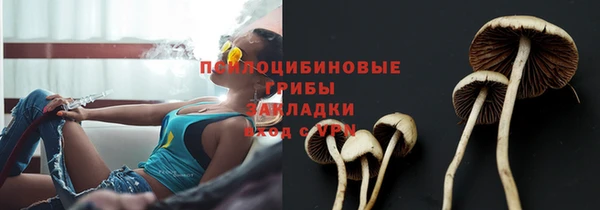 ПСИЛОЦИБИНОВЫЕ ГРИБЫ Бородино