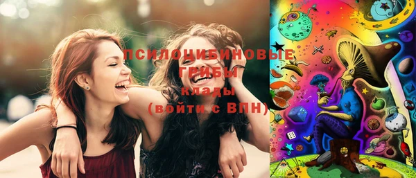 ПСИЛОЦИБИНОВЫЕ ГРИБЫ Бородино