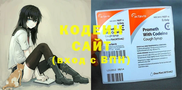 ПСИЛОЦИБИНОВЫЕ ГРИБЫ Бородино