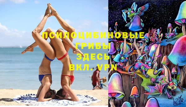 ПСИЛОЦИБИНОВЫЕ ГРИБЫ Бородино
