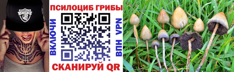 ссылка на мегу   сколько стоит  Киренск  Псилоцибиновые грибы ЛСД 